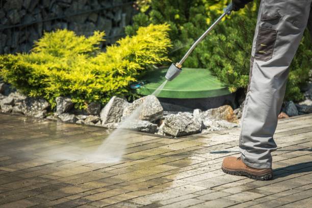 Best Residential House Exterior Washing  in Clarksdale, MS